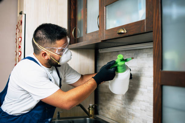 Best Best Pest Control Companies  in Gruver, TX