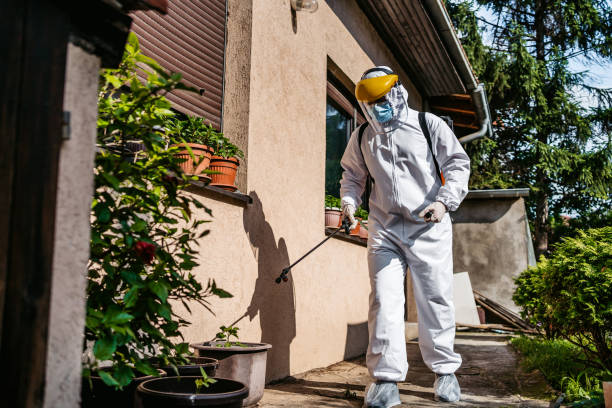 Best Best Pest Control Companies  in Gruver, TX