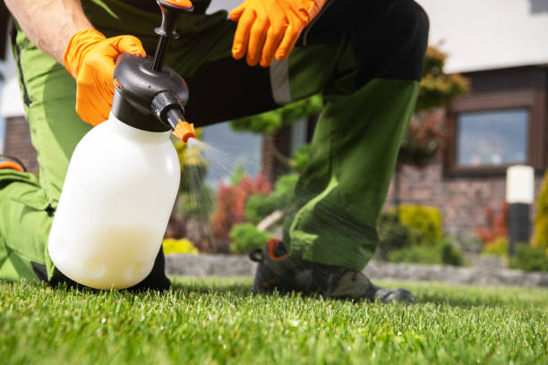 Best Mosquito Control Services  in Gruver, TX