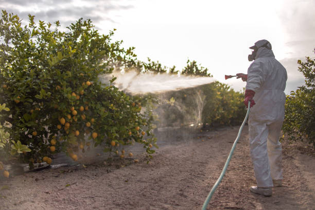 Bird Control in Gruver, TX