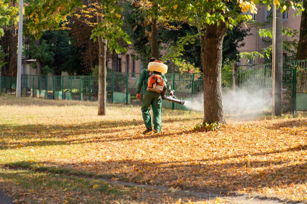 Trusted Gruver, TX Pest Control Experts