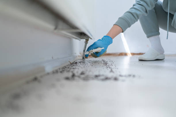 Best Emergency Pest Control  in Gruver, TX