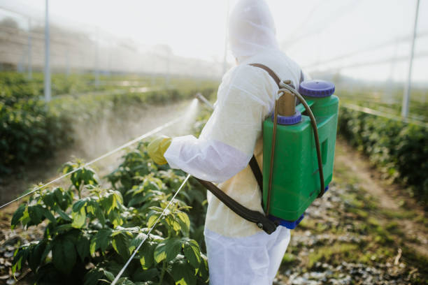 Best Flea Control Services  in Gruver, TX